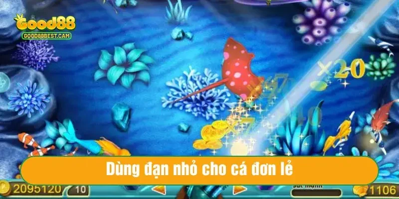 Dùng đạn nhỏ cho cá đơn lẻ khi săn cá