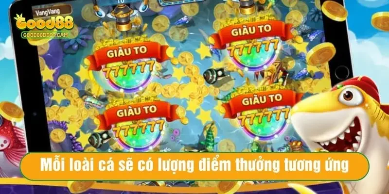 Mỗi loài cá sẽ có lượng điểm thưởng tương ứng