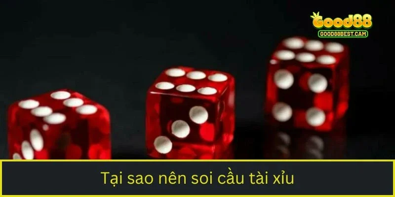 Tại sao nên soi cầu tài xỉu?